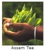 Assam Tee