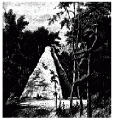 Die Geschichte des Upstalsboom 